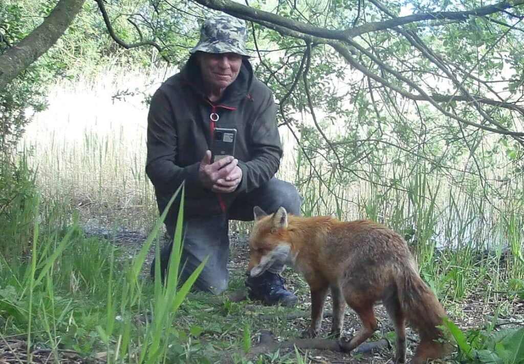 Man reveals heart-warming friendship with fox he cured of illness – SWNS